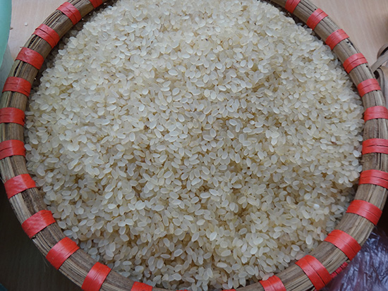 Khẩu rang – Đặc sản gạo nếp của Bắc Hà
